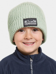 Didriksons müts BUS Kids Beanie heleroheline - suurus 52/54