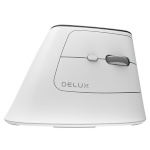 Delux juhtmevaba Ergonomic Mouse MV6 DB BT+2.4G valge