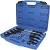 Brilliant Tools kruvikeerajate komplekt BT034012 12-osaline Screwdriver Set with Striking Cap