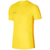 Nike Team T-särk meestele DF Academy 23 SS kollane DR1336 719 suurus L