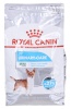 Royal Canin kuivtoit koerale Mini Urinary Care CCN - Dry Dog Food- 3kg