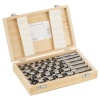 Bosch puurikomplekt Auger Set 6-osaline