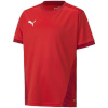 Puma T-särk lastele Teamgoal 23 Jersey punane 704160 01 suurus 152cm