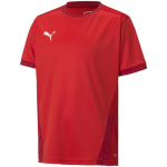 Puma T-särk lastele Teamgoal 23 Jersey punane 704160 01 suurus 152cm