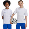 Adidas Teamwear T-särk lastele Tabela 23 Jersey valge-sinine JJ1154 suurus 116cm