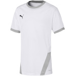 Puma T-särk lastele Teamgoal 23 Jersey valge 704160 04 suurus 164cm