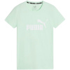 Puma T-särk naistele Ess Logo Tee mündiroheline 586775 90 suurus M