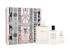 Hermes komplekt Terre d´ EDP 100ml + Shower Gel 80ml + EDP 12,5ml, meestele