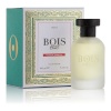 Bois 1920 parfüüm unisex Vetiver Ambrato EDP 100ml