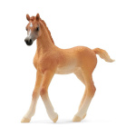 Schleich Horse Club    13984 Araber Fohlen