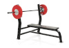 Gymstick tõstepink Weight Bench 200